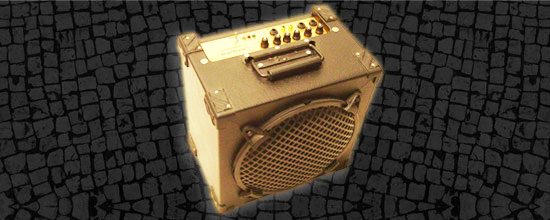 Amplificador portatil para bajo 20w x 10 pulgadas